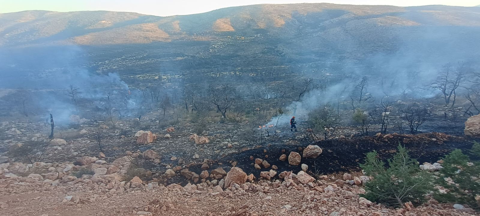 Καμάρι 7