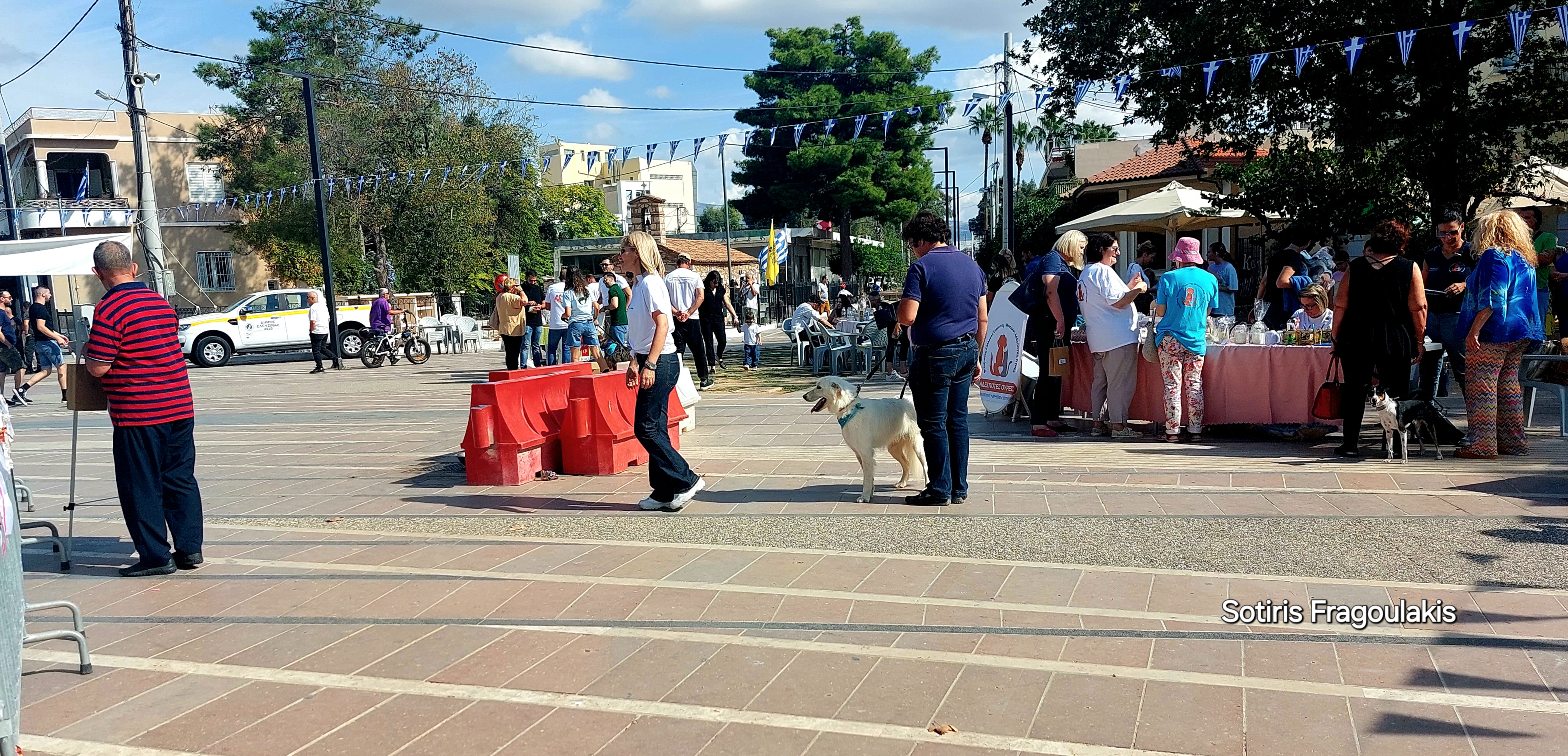 Φεστιβάλ Ζώων 4