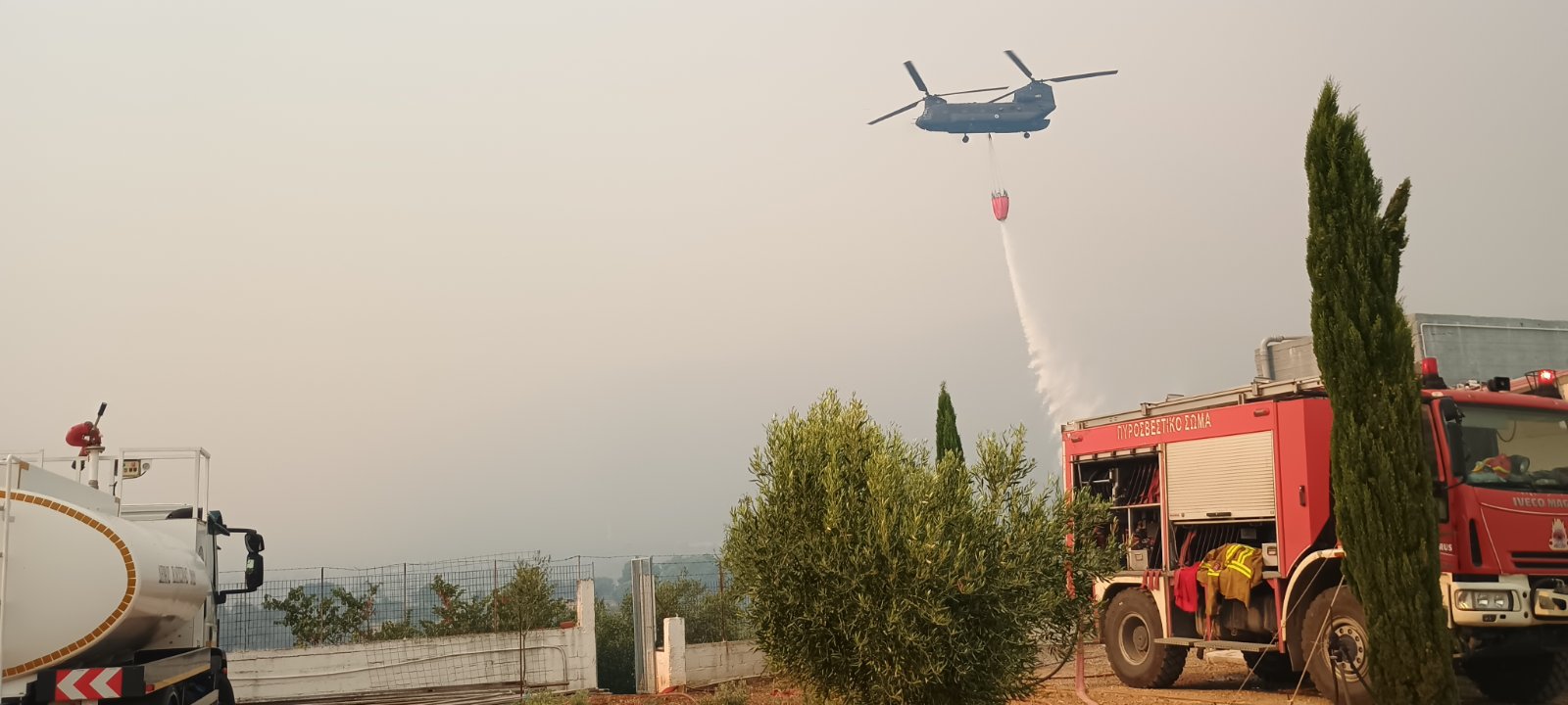 ΠΟΛΙΤΙΚΗ ΠΡΟΣΤΑΣΙΑ 5