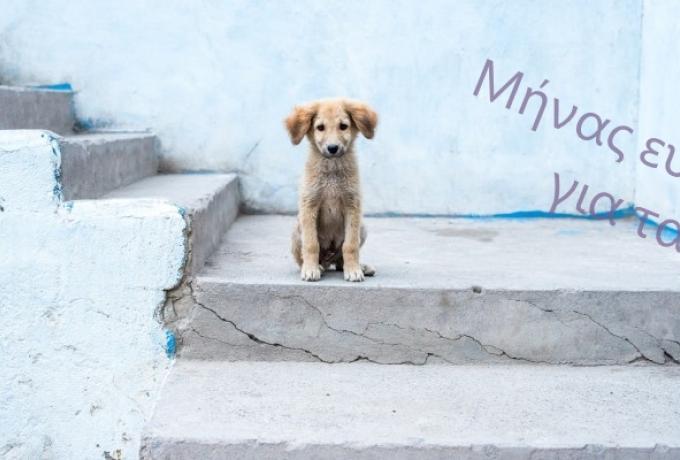 Μήνας ευαισθητοποίησης για τα αδέσποτα και δεσποζόμενα ζώα, ο Οκτώβριος για τον Δήμο Ελευσίνας
