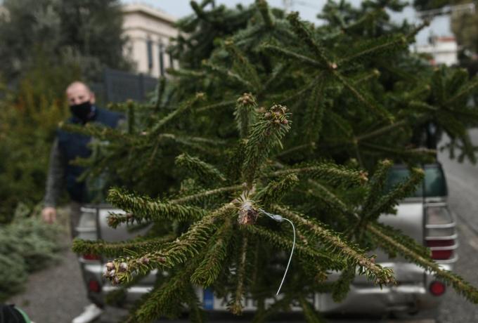 Ο Δήμος Ελευσίνας «στην πόρτα σας»: Περισυλλογή Χριστουγεννιάτικων δέντρων