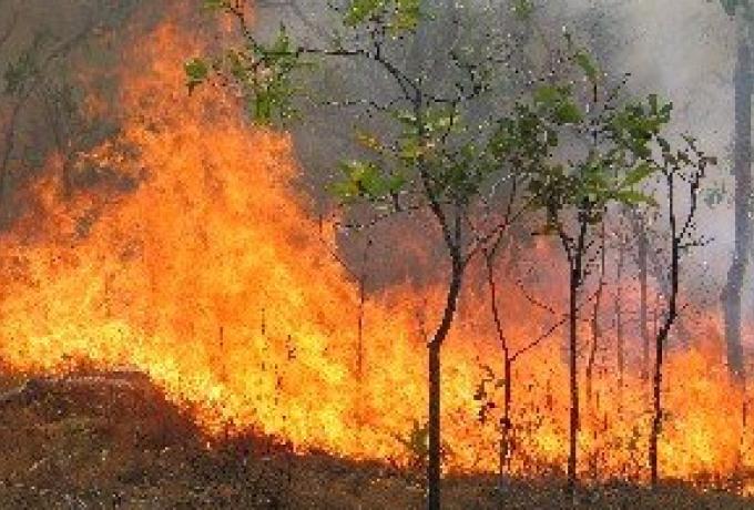 Ανακοίνωση απαγόρευσης κυκλοφορίας λόγω πολύ υψηλού κινδύνου πυρκαγιάς. Κλιματιζόμενοι χώροι σε Ελευσίνα-Μαγούλα