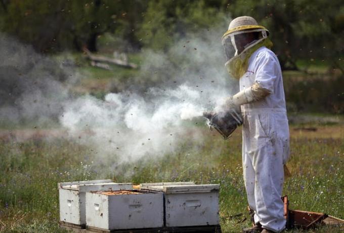 Προληπτικά μέτρα για την αποφυγή δασικών πυρκαγιών - Οδηγίες προς μελισσοκόμους