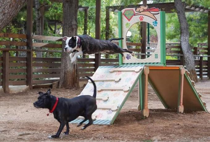 Το πρώτο Πάρκο Κοινωνικοποίησης και Άθλησης Σκύλων αποκτά ο Δήμος Ελευσίνας